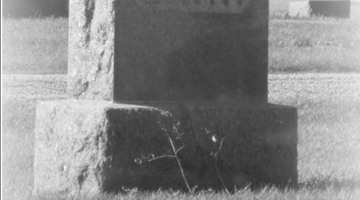 Why Records Have Conflicting Information